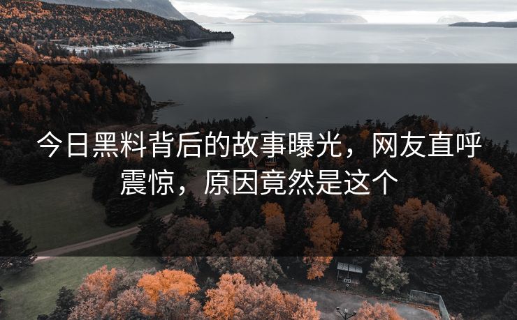 今日黑料背后的故事曝光，网友直呼震惊，原因竟然是这个