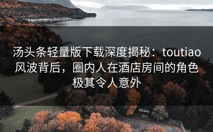 汤头条轻量版下载深度揭秘：toutiao风波背后，圈内人在酒店房间的角色极其令人意外