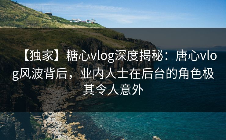 【独家】糖心vlog深度揭秘：唐心vlog风波背后，业内人士在后台的角色极其令人意外