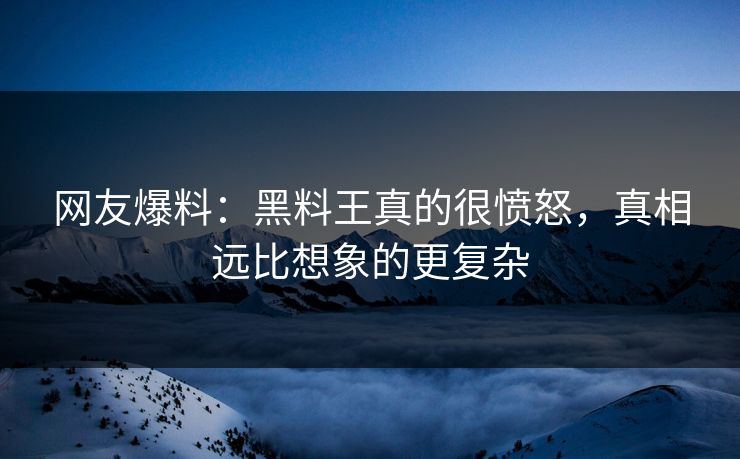 网友爆料：黑料王真的很愤怒，真相远比想象的更复杂