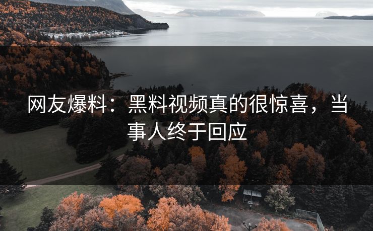 网友爆料：黑料视频真的很惊喜，当事人终于回应