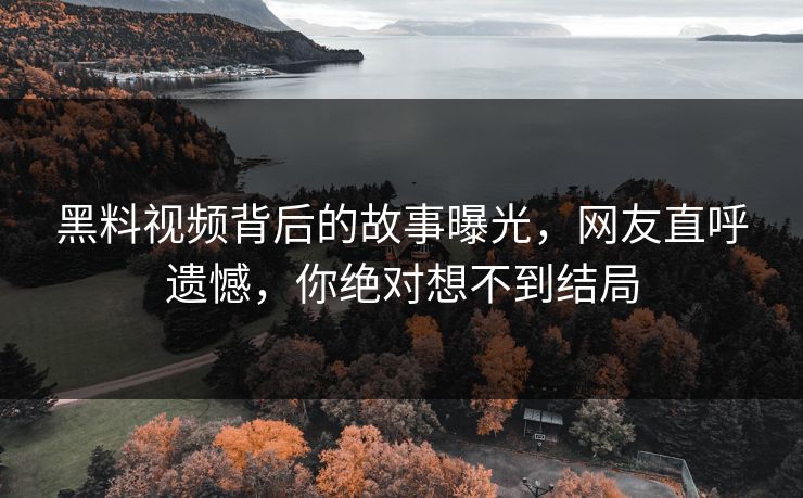 黑料视频背后的故事曝光，网友直呼遗憾，你绝对想不到结局