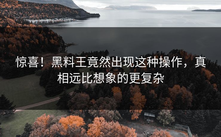 惊喜！黑料王竟然出现这种操作，真相远比想象的更复杂