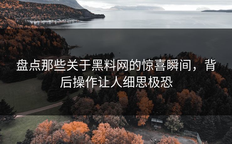 盘点那些关于黑料网的惊喜瞬间，背后操作让人细思极恐