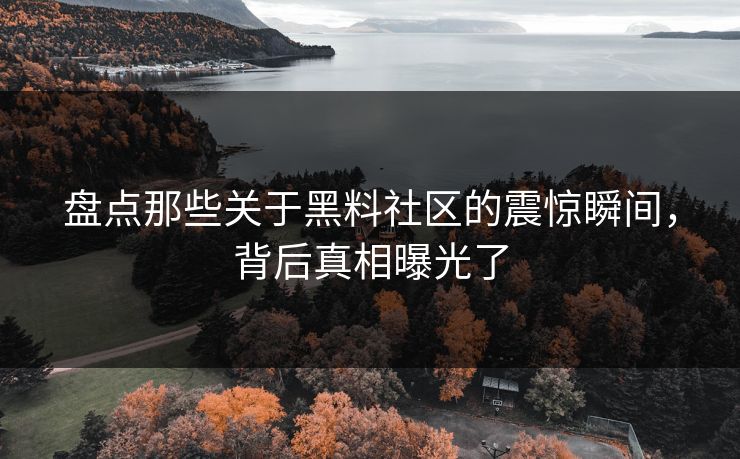 盘点那些关于黑料社区的震惊瞬间，背后真相曝光了