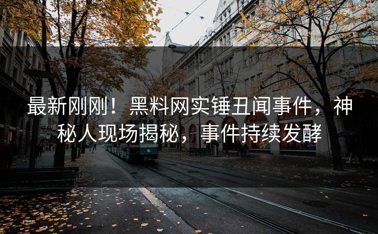 最新刚刚！黑料网实锤丑闻事件，神秘人现场揭秘，事件持续发酵