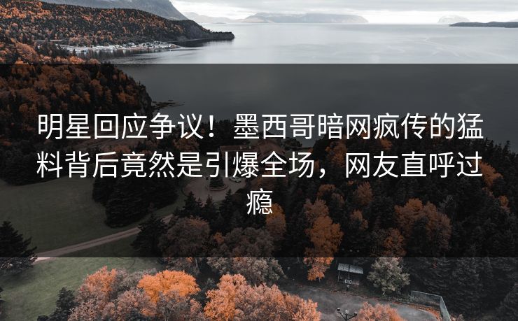 明星回应争议！墨西哥暗网疯传的猛料背后竟然是引爆全场，网友直呼过瘾
