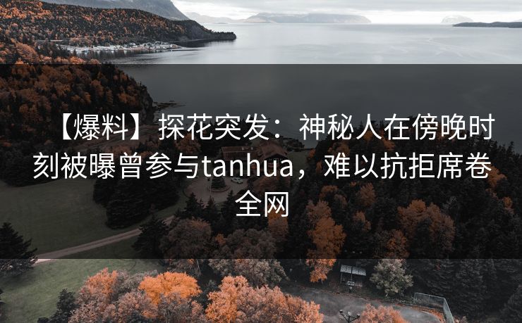 【爆料】探花突发：神秘人在傍晚时刻被曝曾参与tanhua，难以抗拒席卷全网