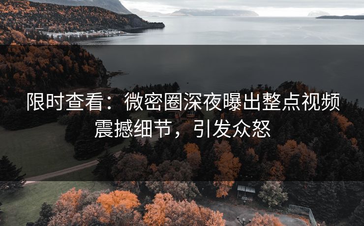 限时查看：微密圈深夜曝出整点视频震撼细节，引发众怒