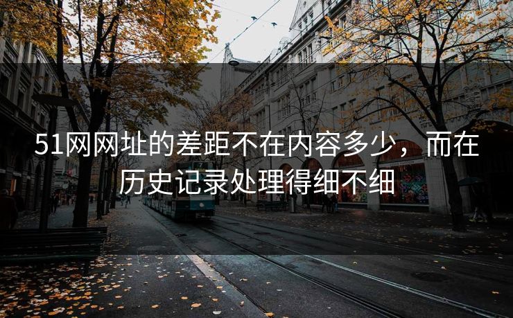 51网网址的差距不在内容多少，而在历史记录处理得细不细